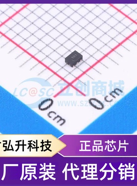 原装正品 RS0101YUTDV6 封装DFN-6(1x1.5) 转换器/电平移位器