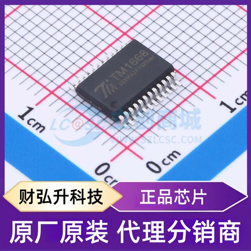 全新原装 TM1668(TA1323C) 封装 SSOP-24 数码管驱动