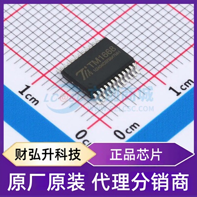全新原装 TM1668-SSOP24-TA2108 封装 SSOP-24 LED驱动