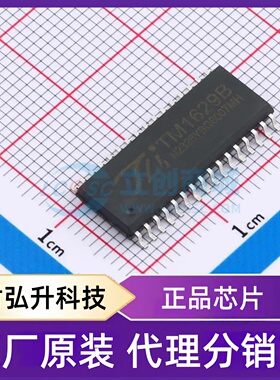 原装正品 TM1629B(TA2009B) 封装SOP-32 LED驱动