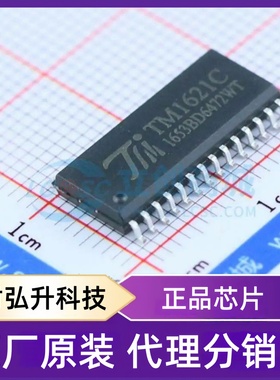 全新原装 TM1621C 封装 SOP-28-300mil LCD驱动