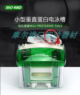 小型垂直蛋白电泳槽 PROTEAN® Tetra 4块胶 RAD伯乐 BIO Mini