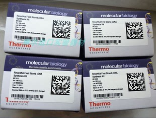 K1622 Thermo 赛默飞 逆转录酶试剂盒 反转录试剂盒 原装