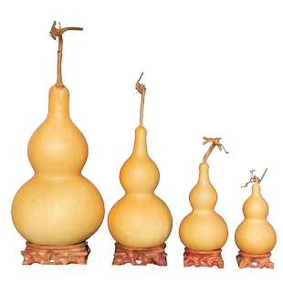 天然异形独把单肚葫芦瓢摆件葫芦皮合卺酒杯茶勺盛水舀面工艺品