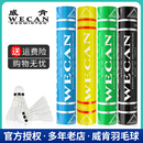 浅蓝 黑威肯WECAN羽毛球 黄 训练用球 一筒12个装 绿威肯