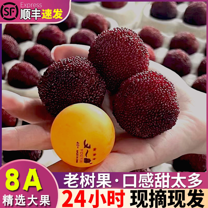 正宗浙江台州仙居杨梅东魁杨梅新鲜水果特大果应季8A现摘礼盒装整