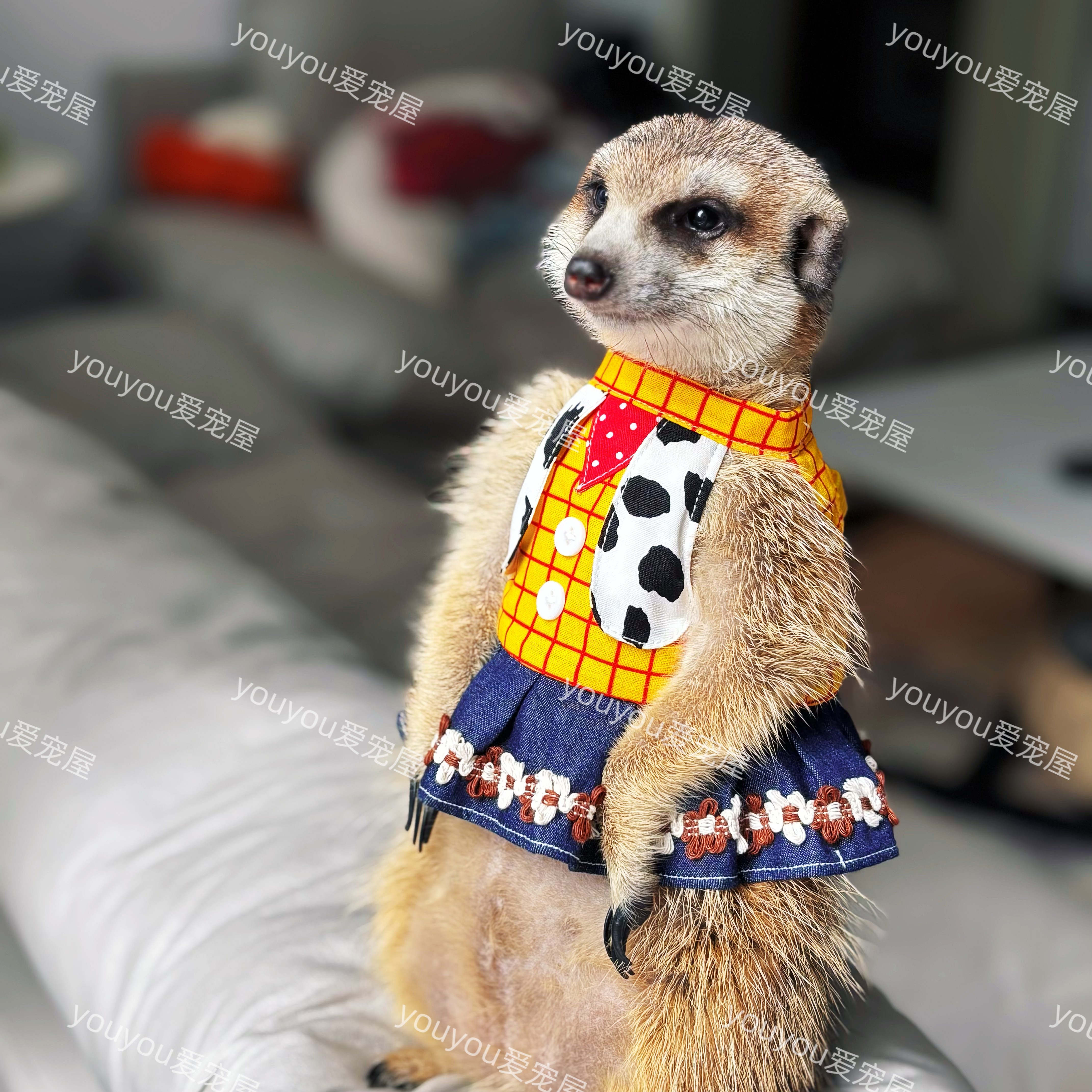 【牵引胸背衣服】狐獴衣服丁满黑尾土拨鼠小猴子貂龙猫等小宠衣服