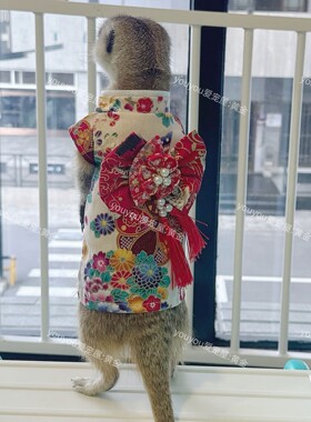 和风服饰蝴蝶结长款衣服狐獴松鼠龙猫土拨鼠雪貂youyou爱宠屋