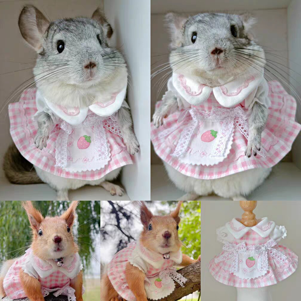 格子娃娃领围裙土拨鼠狐獴蜜袋鼯貂龙猫兔子衣服定制youyou爱宠屋