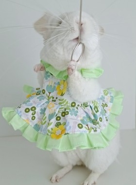黄绿色碎花裙子龙猫松鼠土拨鼠貂狐獴兔子花枝鼠衣服youyou爱宠屋