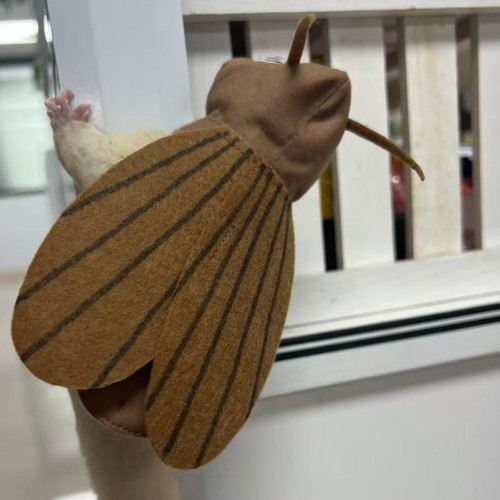 【牵引衣服】Cos蟑螂衣服蜜袋鼯狐獴松鼠黑尾土拨鼠貂臭鼬防挣脱