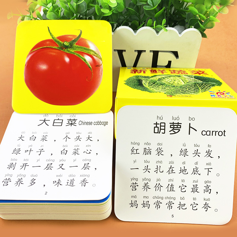 阳光宝贝 婴幼儿早教认知卡认识蔬菜看图识物书0-1-3岁宝宝撕不烂启蒙