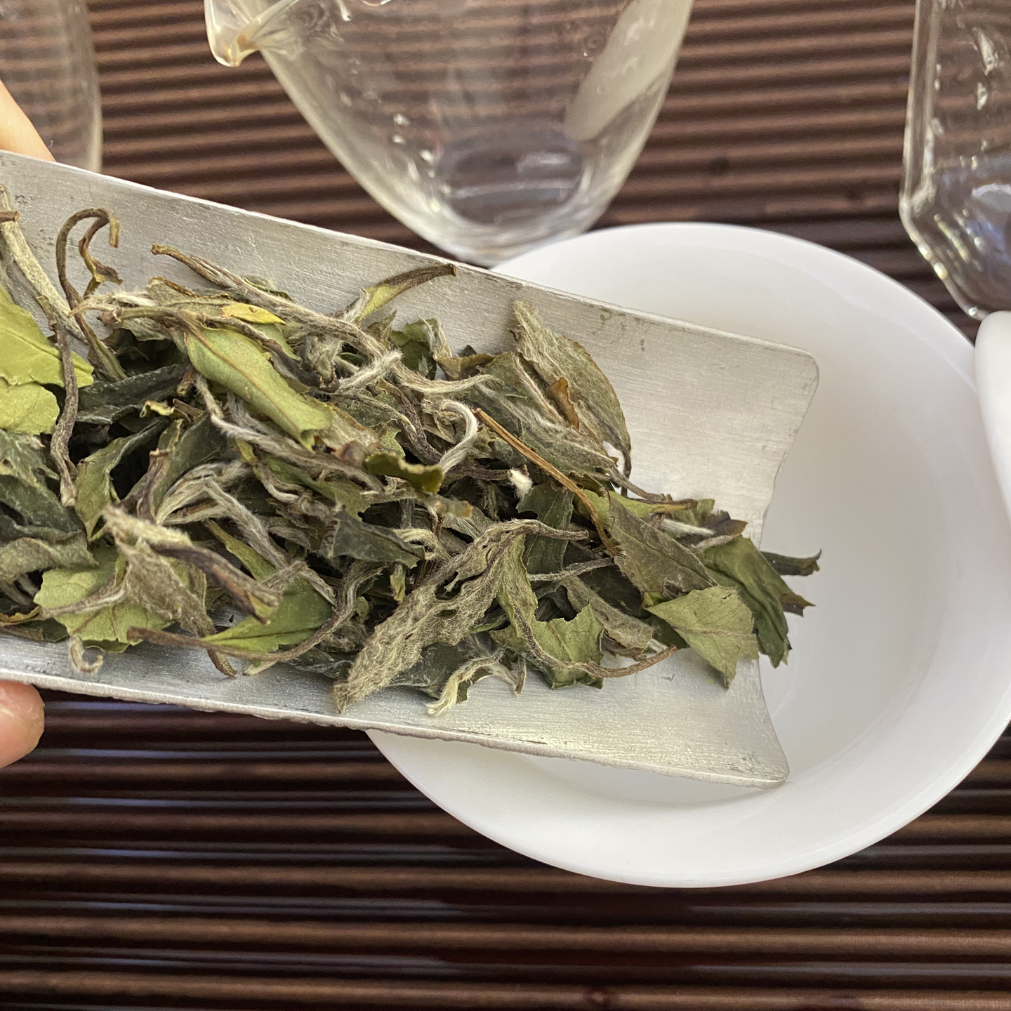 陈孝金磻溪2023年春二级白牡丹散茶正宗福鼎白茶花香清甜宜品宜藏