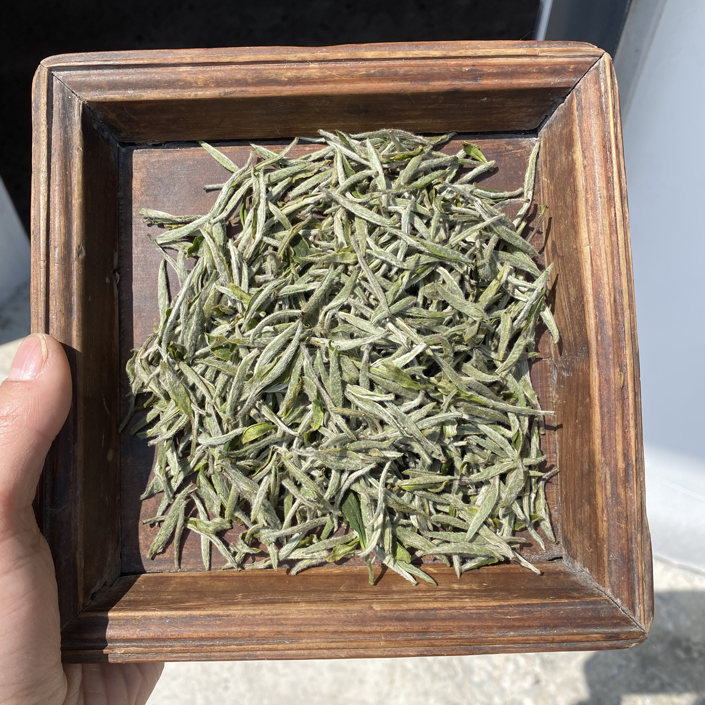 陈孝金磻溪正宗福鼎白茶2025年清明一级白毫银针日晒炭焙毫香清甜