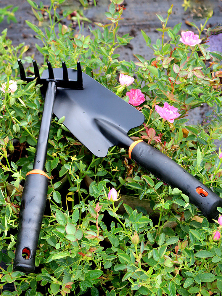 种花工具家用套装种菜栽养花多肉花铲赶海神器铁锹铁铲园艺小铲子,鲜花速递/花卉仿真/绿植园艺,铲子,淘宝优惠券,粉丝福利购,淘宝优惠卷