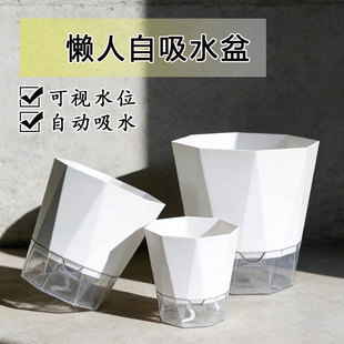 懒人自吸水花盆水培植物器皿绿萝专用线吸吸水盆自动塑料盆栽大号