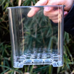 高款树脂塑料正方形透气花盆控根蝴蝶兰观察植物根系