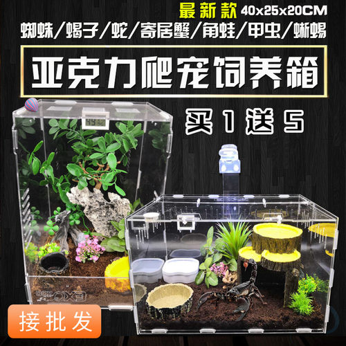 爬虫箱仓鼠亚克力饲养盒子寄居蟹蜘蛛角蛙守宫蜥蜴爬宠昆虫生态箱 - 封面