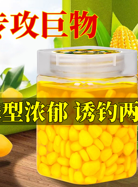 钓鱼饵料生鲜甜嫩玉米野钓黑坑大物专用青鱼草鱼鲢鳙翘嘴鲤鱼鲫鱼