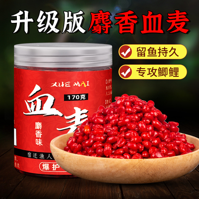 麝香血麦鱼饵冬季低温黑坑野钓