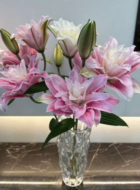 【伊莎贝拉】浓香型重瓣百合插花云南昆明基地直发冷链包邮到家
