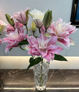【伊莎贝拉】浓香型重瓣百合插花云南昆明基地直发冷链包邮到家