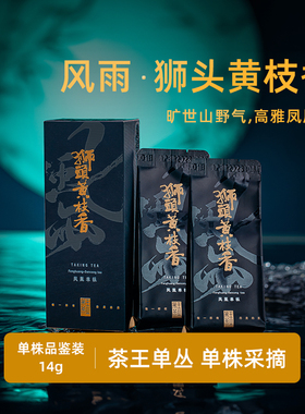 【狮头黄枝香】黄枝香入口黄栀花香气明显滑口润喉饱满高货品鉴装