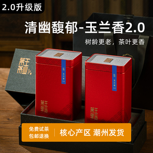 潮州凤凰单丛玉兰香841米海拔63年老枞茶叶单丛凤凰单枞茶礼盒装