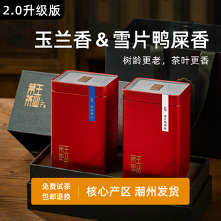 广东潮州凤凰单丛雪片鸭屎香茶叶 特级凤凰单枞茶叶玉兰香礼盒装