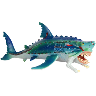 泥盆纪史前巨兽含肺鱼模型实心儿童玩具仿真海洋动物远古时代生物