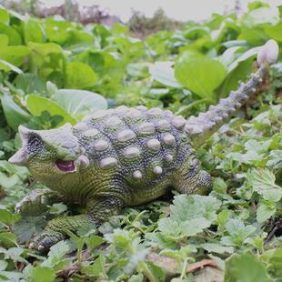 白垩纪恐龙玻利维亚甲龙模型儿童玩具实心大号仿真动物男孩手办