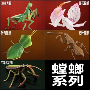 儿童昆虫玩具兰花螳螂模型刀螂斧螳仿真动物套装实心虫子男孩认知