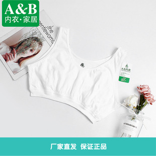ab内衣背心式 宽松全棉胸罩 文胸女夏薄款 中老年妈妈纯棉小背心大码