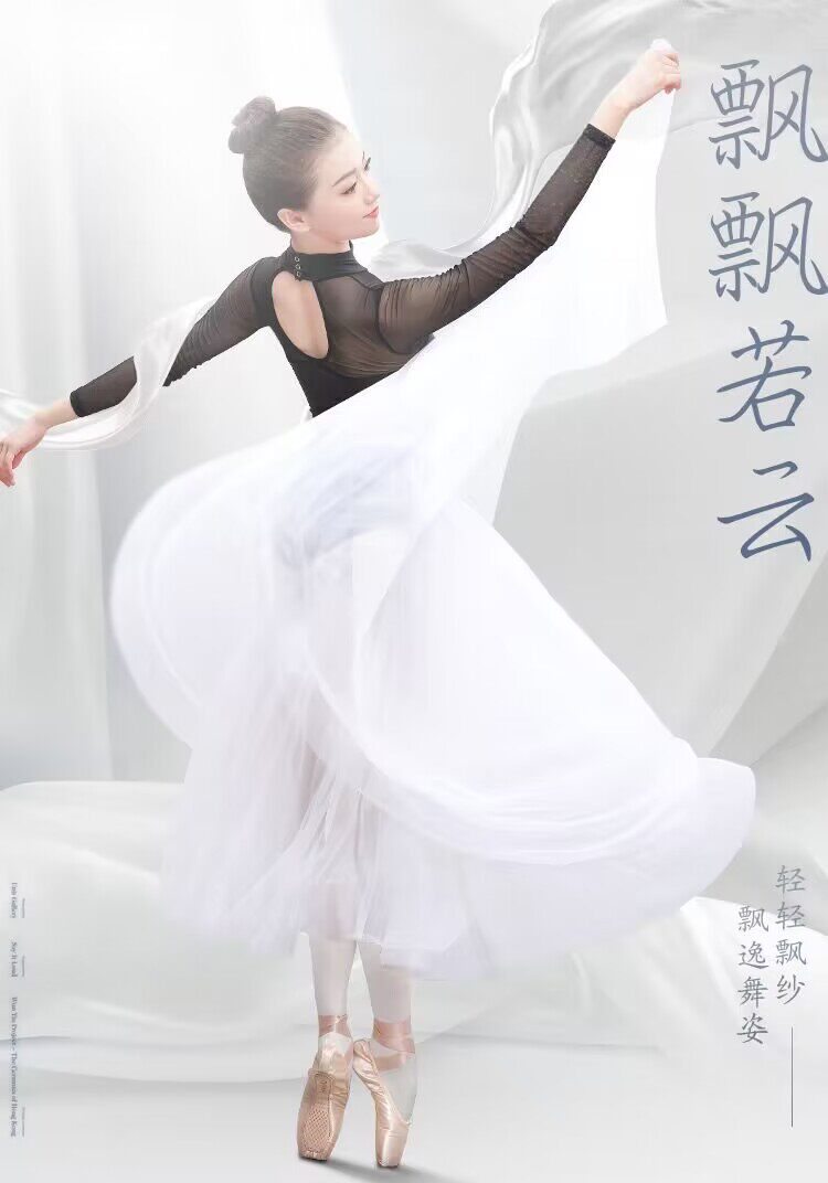 芭蕾长纱裙半身裙练功服长款裙芭蕾舞成人白纱裙舞蹈裙纱裙大摆裙