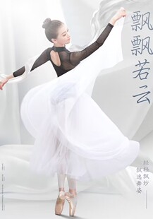 芭蕾长纱裙半身裙练功服长款裙芭蕾舞成人白纱裙舞蹈裙纱裙大摆裙
