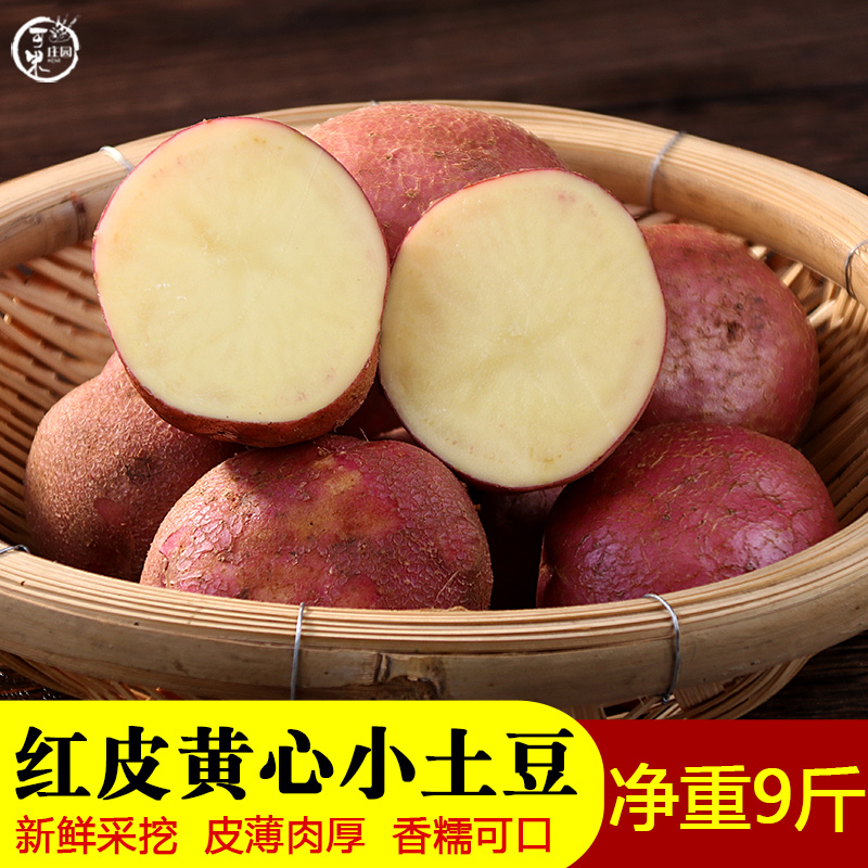 云南红皮黄心土豆9斤小号图片
