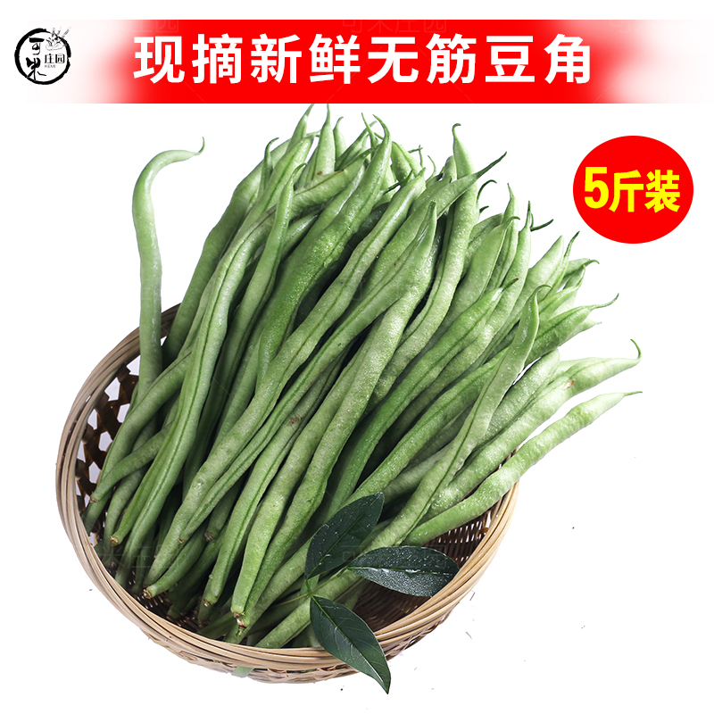 无筋豆可米庄园芸豆角蔬菜四季豆