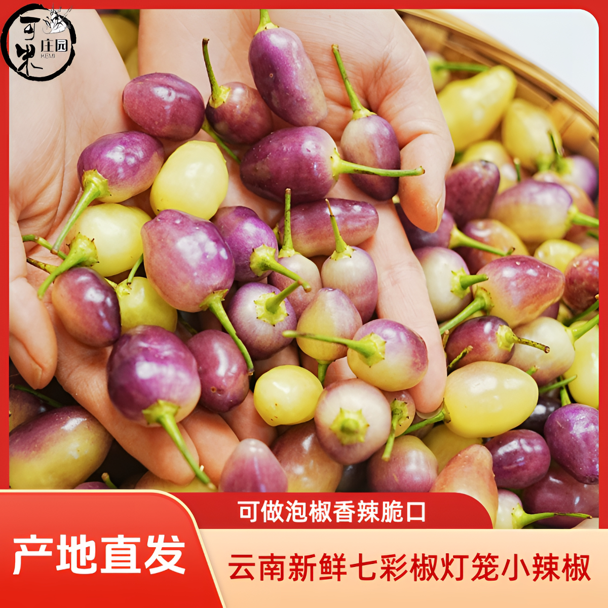 云南新鲜七彩椒多色迷你小辣椒现摘现发可腌制泡椒脆嫩产地直发