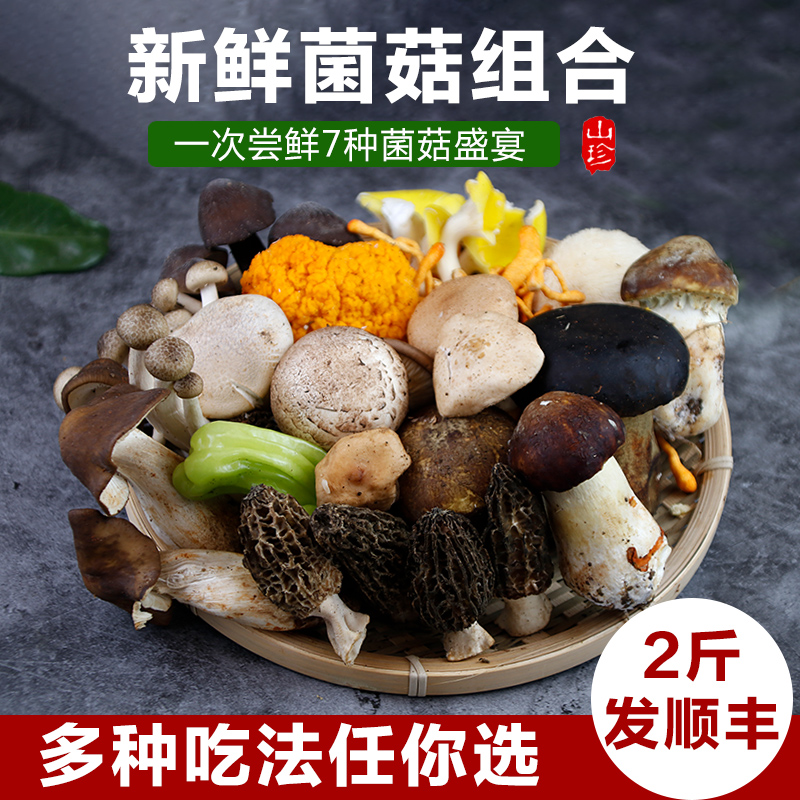 云南新鲜食用菌组合时令杂菌2斤