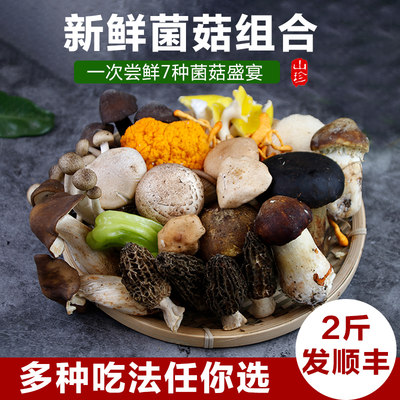 云南新鲜野生菌组合时令杂菌2斤