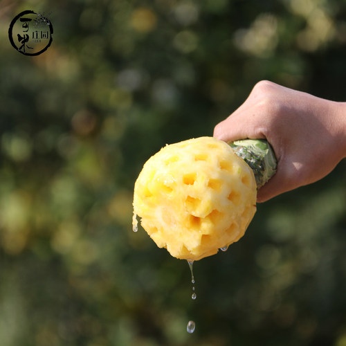 云南香水菠萝新鲜现摘水果整箱