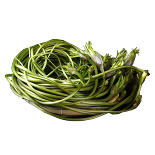 云南新鲜大理海菜花云南野菜大理特产洱海海菜水性杨花2斤包邮