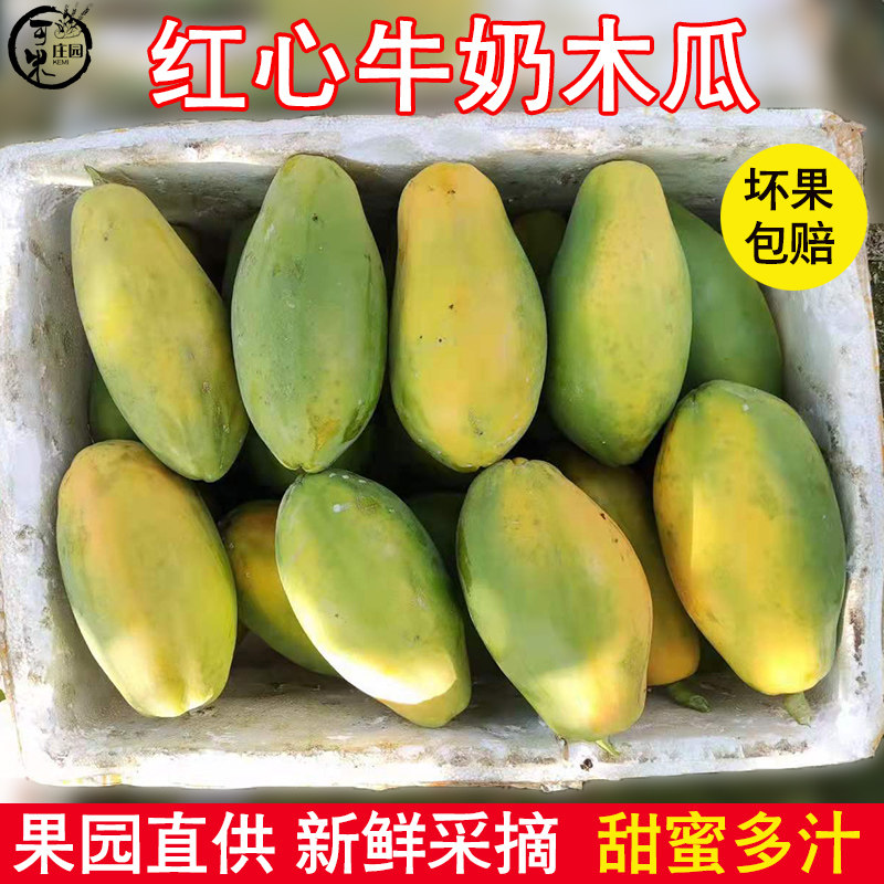 云南新鲜红心牛奶木瓜新鲜水果树上熟牛奶冰糖木瓜青木瓜9斤包邮