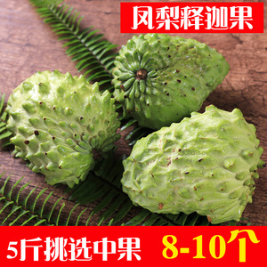 云南凤梨释迦果新鲜热带水果番荔枝释迦大果佛头果5斤包邮