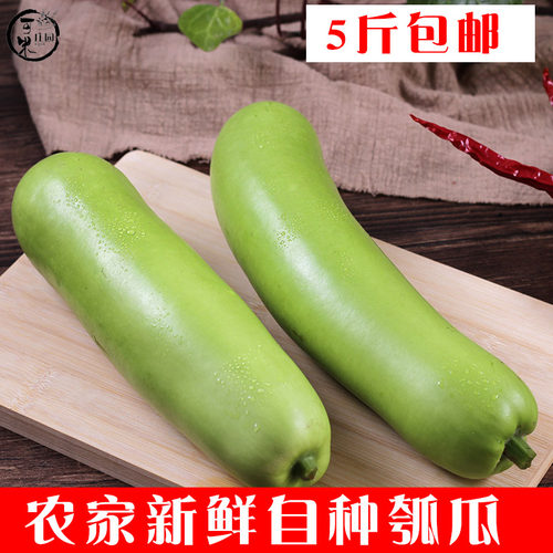 云南葫芦瓜肉质细嫩鲜嫩新鲜蔬菜