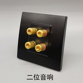 黑色86型二位4孔5.1环绕音响音频插座二位双头音箱音频墙壁面板