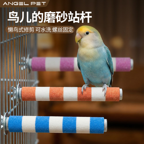 【安吉派特】鹦鹉鸟站杆磨砂站杆