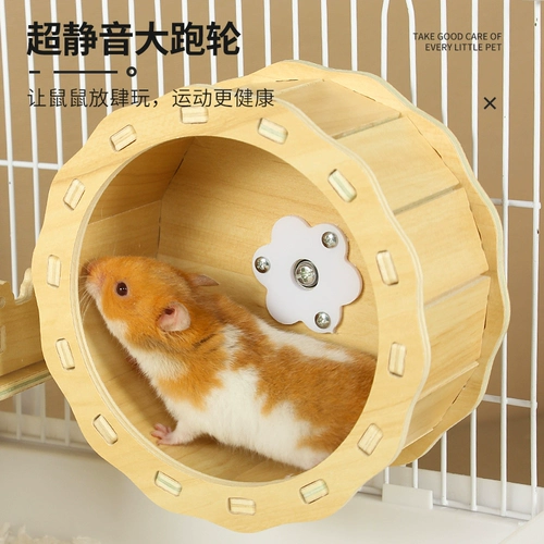 Ham Semi -Cage 47 Basic крупные 60 необычайных роскошных вилле