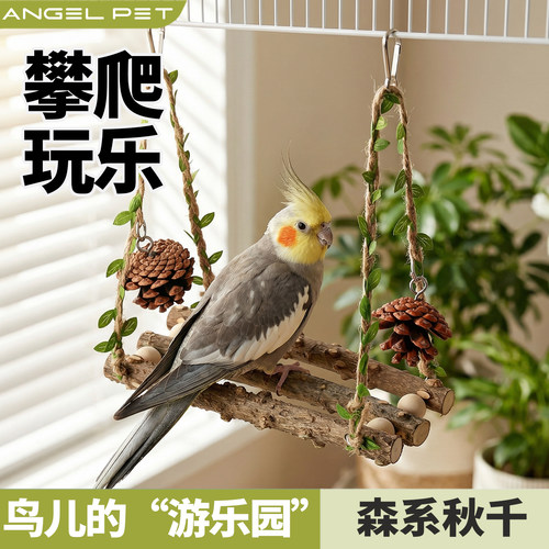 【安吉派特】鹦鹉秋千玩具解闷