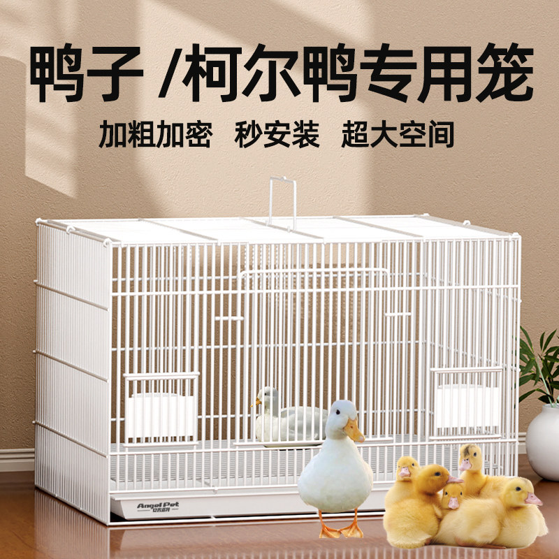 养鸭子专用笼子柯尔鸭笼用品屋育雏房家用室内外大号豪华别墅鸭笼